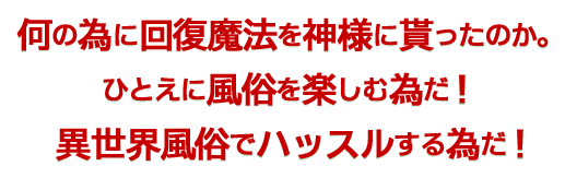 田中あらすじ1 何の為に回復魔法を神様に貰ったのか。ひとえに風俗を楽しむ為だ !異世界風俗でハッスルする為だ !